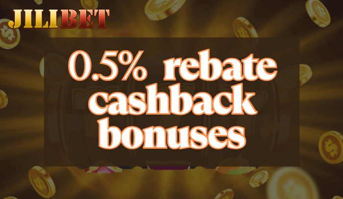 0.5% rebate cashback