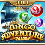 Bingo Adventure