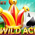 jili wild ace slot